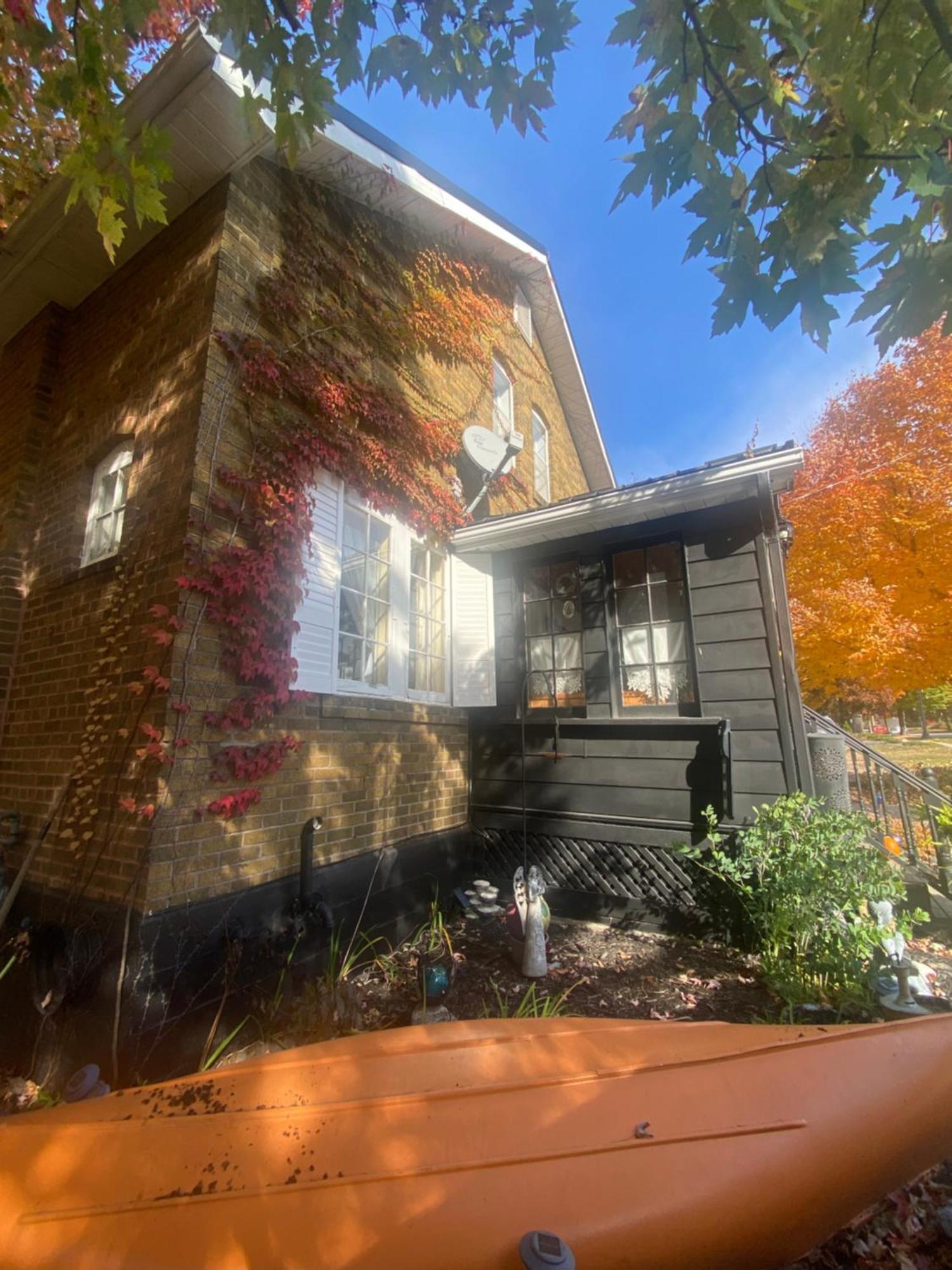 Blue Spruce Bed And Breakfast Muskoka Gravenhurst Zewnętrze zdjęcie