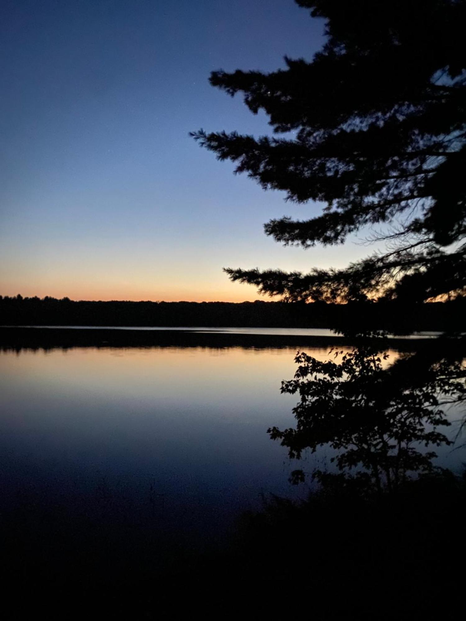 Blue Spruce Bed And Breakfast Muskoka Gravenhurst Zewnętrze zdjęcie