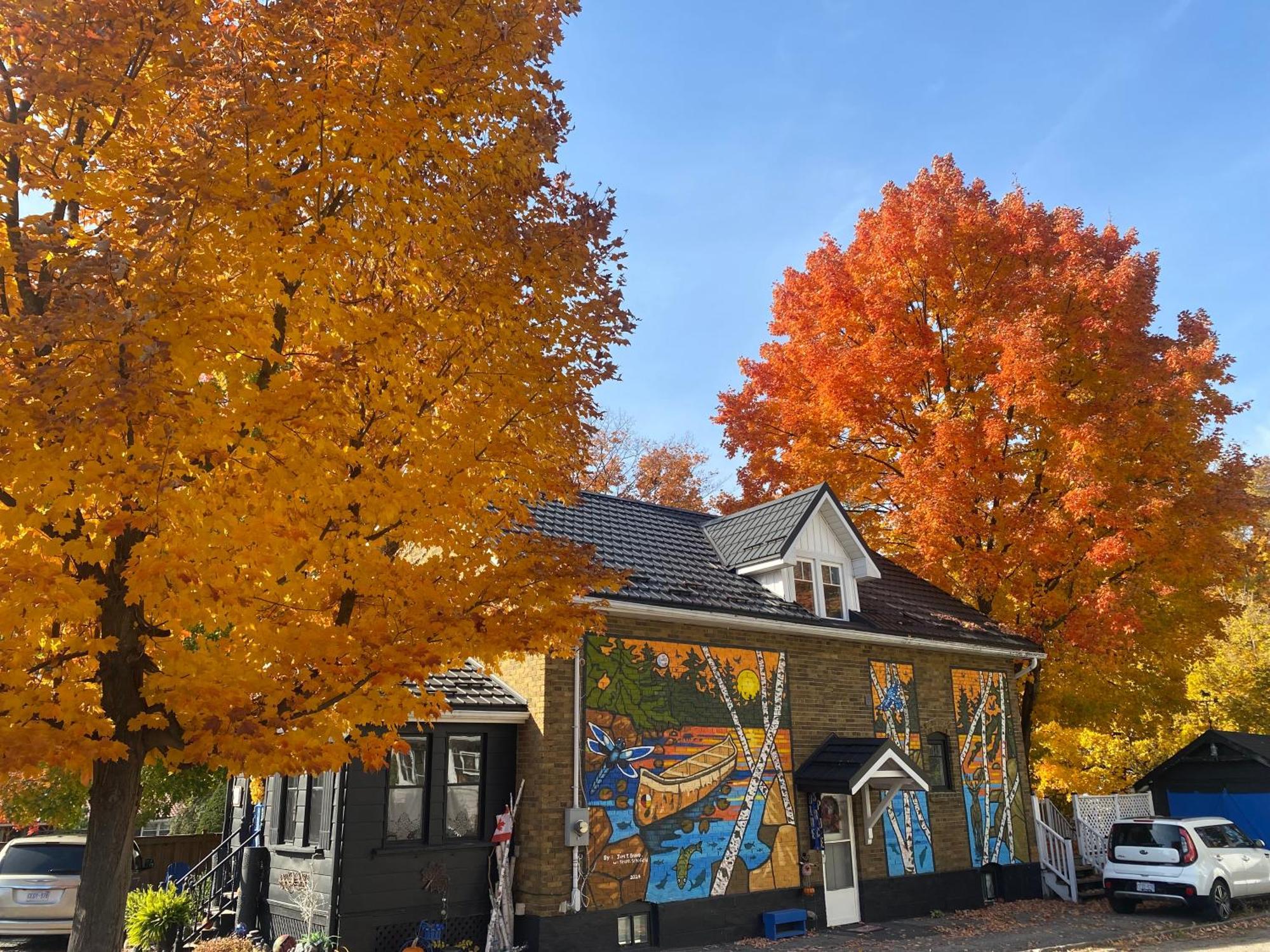 Blue Spruce Bed And Breakfast Muskoka Gravenhurst Zewnętrze zdjęcie